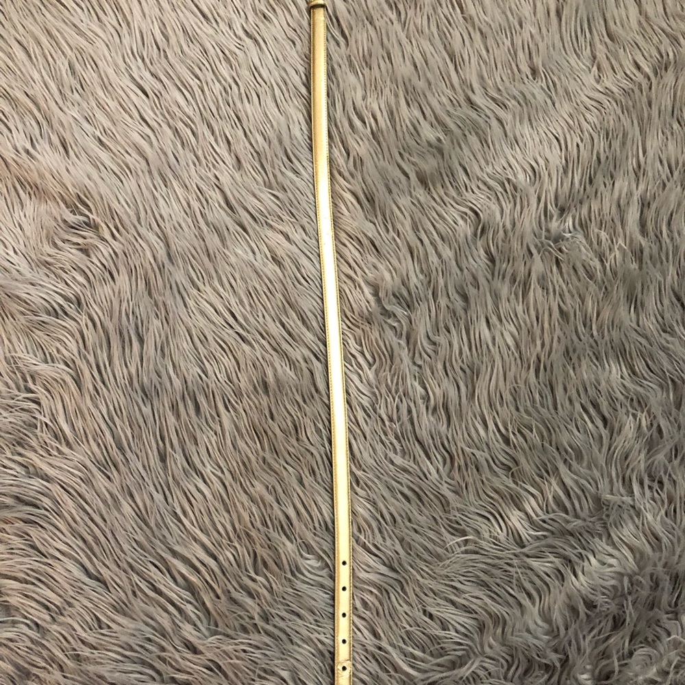 Gold belt